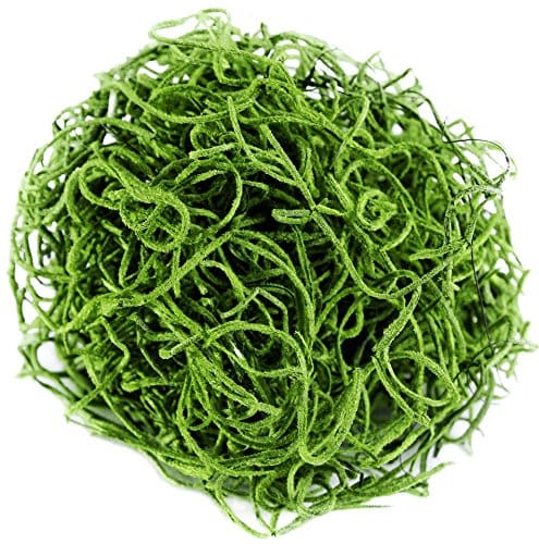 SuperMoss (26926) Spanish Moss Dried, Natural, 3lbs