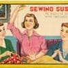 Sewing Susan 21 Needle Set